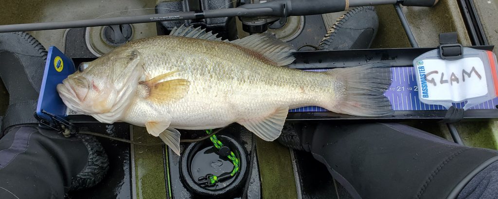 Lake Fork Farm Anglers enjoy fishing Lake Fork where the can easily launch iinto Leafy Branch Creek using our ramp.