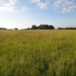 Lake Fork Farm Suites and Cabins | Look at that beautiful, wide open green field