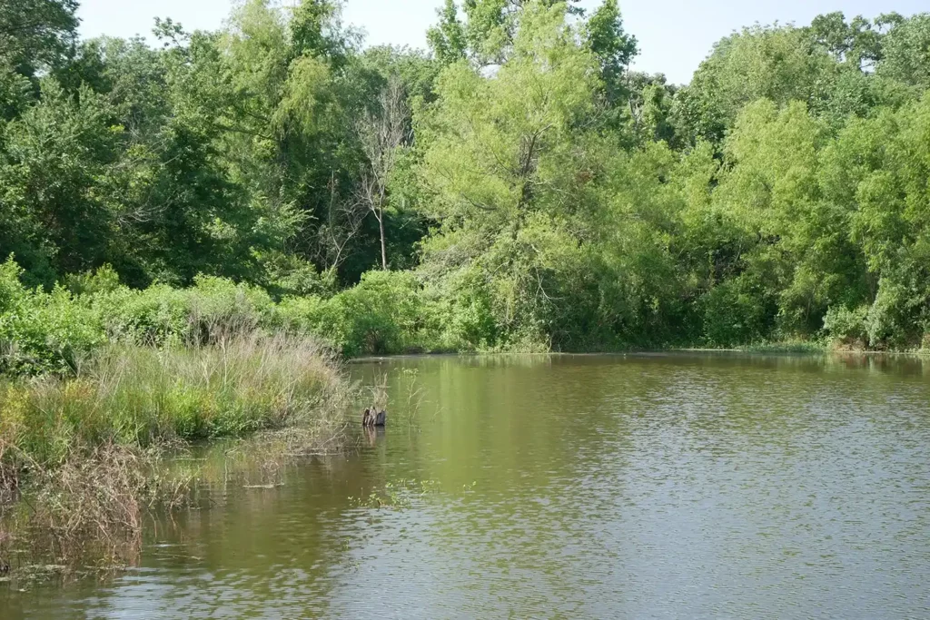 On the rear of our private property, along the tributary “Leafy Branch” the lagoon is great for fishing and quiet retreats.