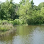 On the rear of our private property, along the tributary “Leafy Branch” the lagoon is great for fishing and quiet retreats.